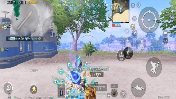 和平精英辅助【神女】